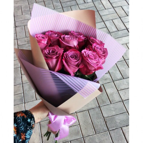 ALA8_w_dH1s
