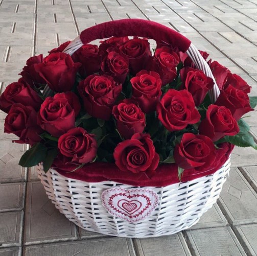 aiY2EBLLgs8