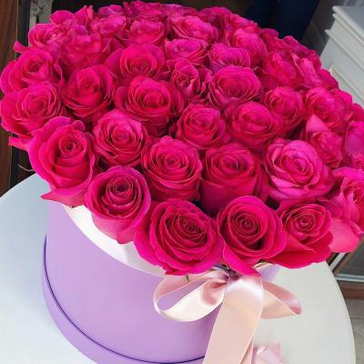 2e1e5873ce800b30ba7f1c879a9c5107.jpg_product