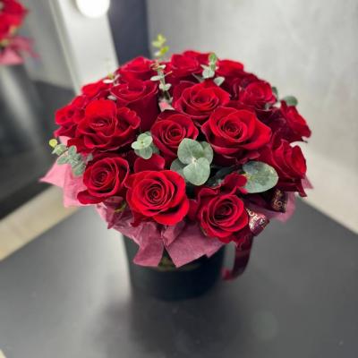 IMG_0068.jpg
